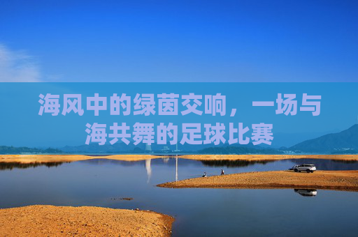 海风中的绿茵交响，一场与海共舞的足球比赛