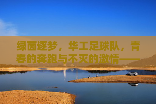 绿茵逐梦，华工足球队，青春的奔跑与不灭的激情——华南理工大学足球运动的校园名片