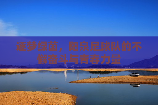逐梦绿茵,阳泉足球队的不懈奋斗与青春力量