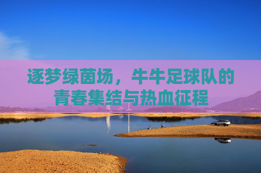 逐梦绿茵场，牛牛足球队的青春集结与热血征程