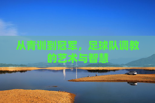 从青训到冠军,足球队调教的艺术与智慧