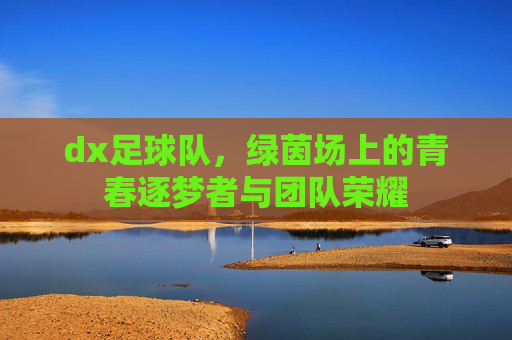dx足球队,绿茵场上的青春逐梦者与团队荣耀