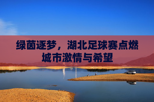 绿茵逐梦，湖北足球赛点燃城市激情与希望