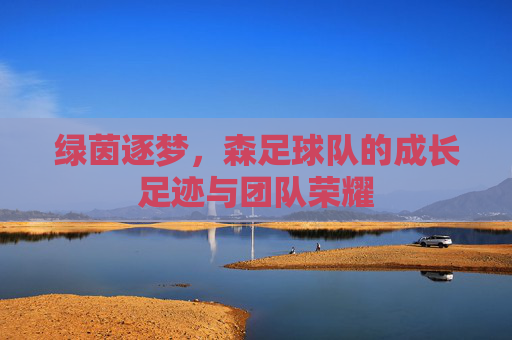 绿茵逐梦，森足球队的成长足迹与团队荣耀