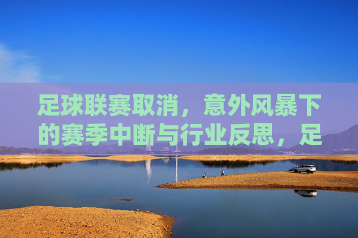 足球联赛取消，意外风暴下的赛季中断与行业反思，足球联赛取消，意外风暴下的赛季中断与行业反思