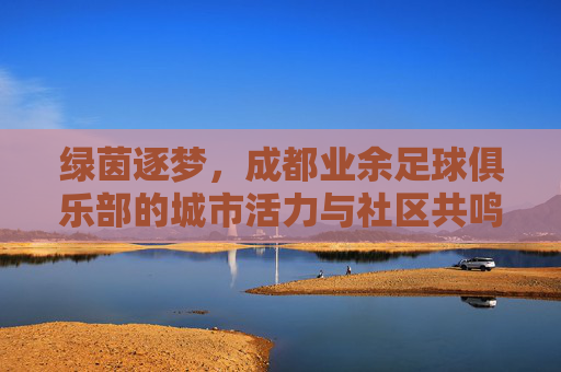 绿茵逐梦，成都业余足球俱乐部的城市活力与社区共鸣