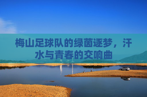 梅山足球队的绿茵逐梦,汗水与青春的交响曲