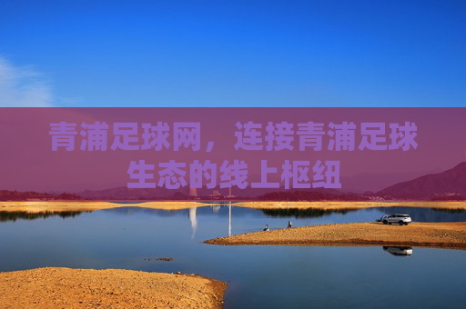 青浦足球网,连接青浦足球生态的线上枢纽