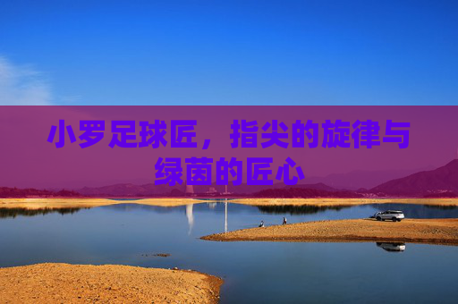 小罗足球匠，指尖的旋律与绿茵的匠心