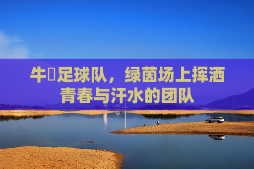 牛犇足球队,绿茵场上挥洒青春与汗水的团队