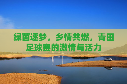 绿茵逐梦，乡情共燃，青田足球赛的激情与活力