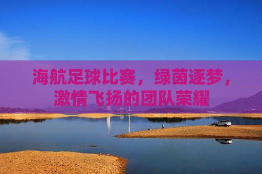 海航足球比赛，绿茵逐梦，激情飞扬的团队荣耀