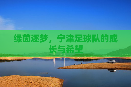 绿茵逐梦,宁津足球队的成长与希望