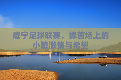 咸宁足球联赛，绿茵场上的小城激情与希望