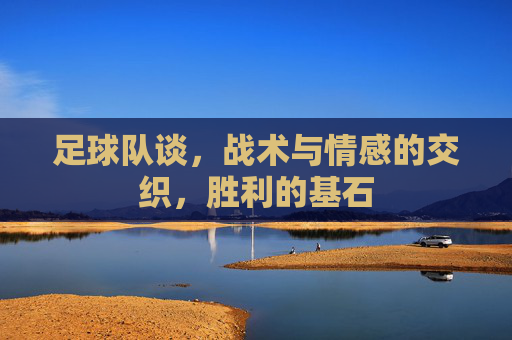 足球队谈,战术与情感的交织,胜利的基石