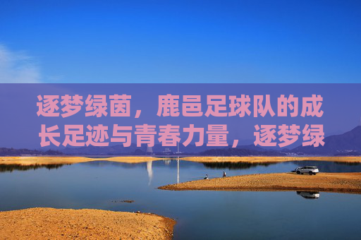 逐梦绿茵,鹿邑足球队的成长足迹与青春力量,逐梦绿茵,鹿邑足球队的成长足迹与青春力量