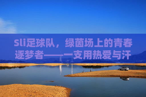 Sli足球队，绿茵场上的青春逐梦者——一支用热爱与汗水浇灌的年轻力量，Sli足球队，绿茵场上的青春逐梦者——用热爱与汗水浇灌的年轻力量