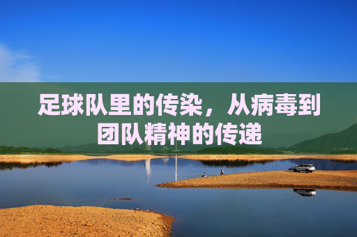 足球队里的传染，从病毒到团队精神的传递