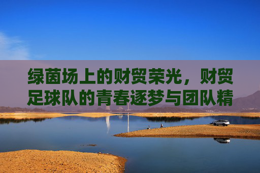绿茵场上的财贸荣光,财贸足球队的青春逐梦与团队精神,绿茵场上的财贸荣光,财贸足球队的青春逐梦与团队精神