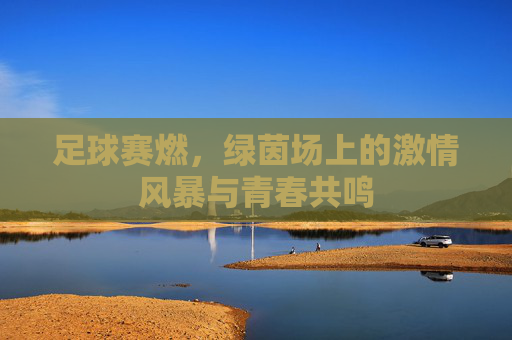 足球赛燃,绿茵场上的激情风暴与青春共鸣