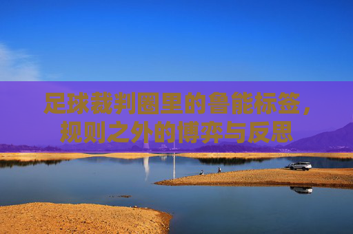 足球裁判圈里的鲁能标签,规则之外的博弈与反思