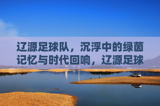 辽源足球队，沉浮中的绿茵记忆与时代回响，辽源足球队，沉浮中的绿茵记忆与时代回响