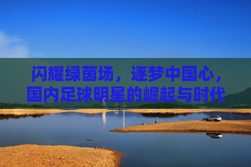 闪耀绿茵场，逐梦中国心，国内足球明星的崛起与时代印记