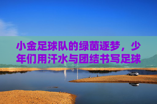小金足球队的绿茵逐梦，少年们用汗水与团结书写足球故事，小金足球队，少年绿茵逐梦，以汗水与团结书写足球故事