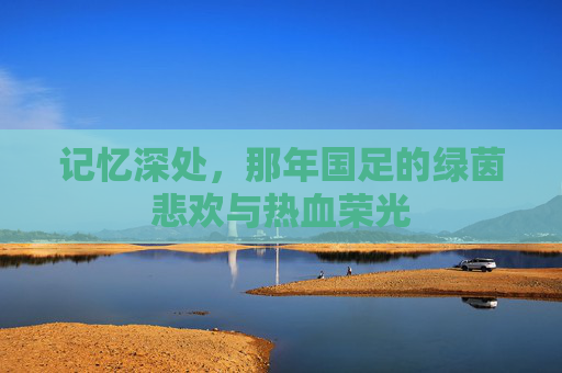 记忆深处，那年国足的绿茵悲欢与热血荣光