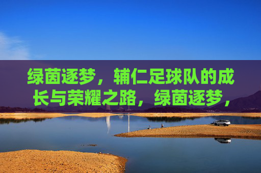 绿茵逐梦，辅仁足球队的成长与荣耀之路，绿茵逐梦，辅仁足球队的成长与荣耀之路