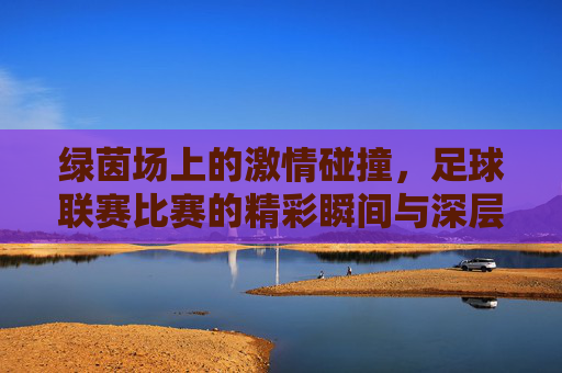 绿茵场上的激情碰撞，足球联赛比赛的精彩瞬间与深层魅力