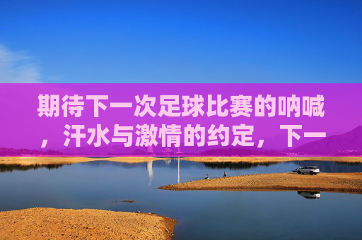 期待下一次足球比赛的呐喊,汗水与激情的约定,下一次足球的呐喊,汗水与激情的约定
