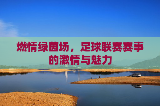 燃情绿茵场,足球联赛赛事的激情与魅力