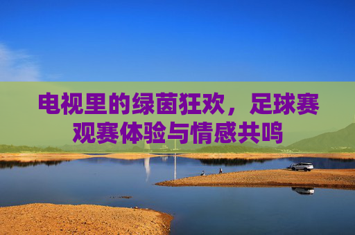 电视里的绿茵狂欢,足球赛观赛体验与情感共鸣