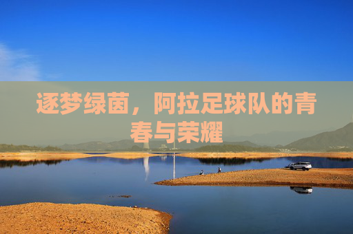 逐梦绿茵，阿拉足球队的青春与荣耀