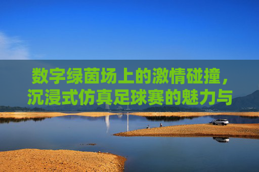 数字绿茵场上的激情碰撞，沉浸式仿真足球赛的魅力与未来