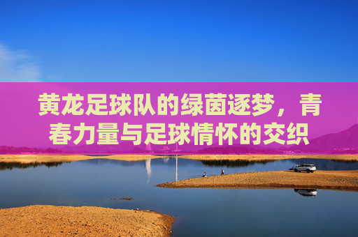 黄龙足球队的绿茵逐梦,青春力量与足球情怀的交织
