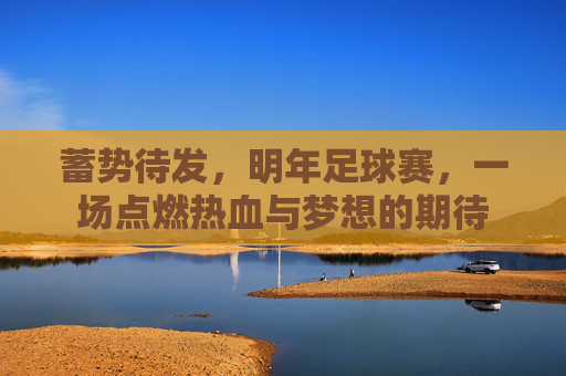 蓄势待发,明年足球赛,一场点燃热血与梦想的期待