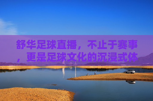 舒华足球直播,不止于赛事,更是足球文化的沉浸式体验