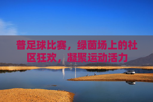 普足球比赛,绿茵场上的社区狂欢,凝聚运动活力