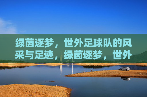 绿茵逐梦,世外足球队的风采与足迹,绿茵逐梦,世外足球队的风采与足迹