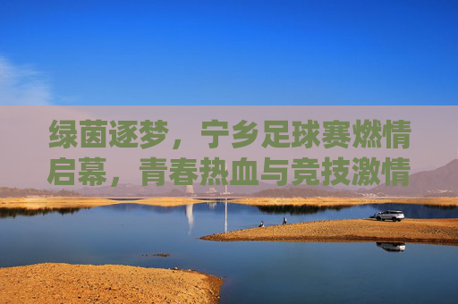 绿茵逐梦，宁乡足球赛燃情启幕，青春热血与竞技激情的碰撞
