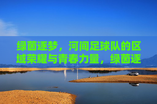 绿茵逐梦,河间足球队的区域荣耀与青春力量,绿茵逐梦,河间足球队的区域荣耀与青春力量