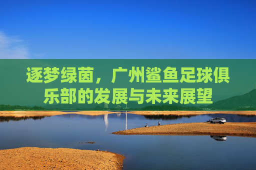 逐梦绿茵,广州鲨鱼足球俱乐部的发展与未来展望