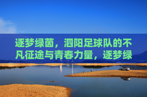逐梦绿茵,泗阳足球队的不凡征途与青春力量,逐梦绿茵,泗阳足球队的不凡征途与青春力量