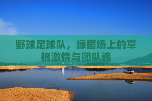野球足球队,绿茵场上的草根激情与团队魂