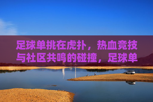 足球单挑在虎扑,热血竞技与社区共鸣的碰撞,足球单挑在虎扑,热血竞技与社区共鸣的碰撞
