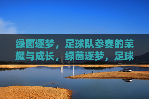 绿茵逐梦，足球队参赛的荣耀与成长，绿茵逐梦，足球队参赛的荣耀与成长
