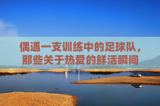 偶遇一支训练中的足球队,那些关于热爱的鲜活瞬间