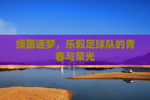 绿茵逐梦,乐毅足球队的青春与荣光